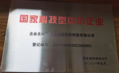 国家级科技型中小企业